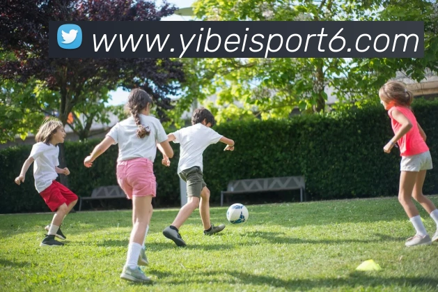 App Interface Preview