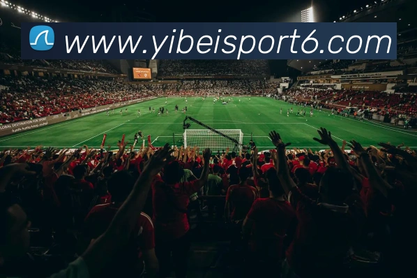 易倍体育APP 封面图